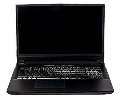 Ноутбук Hiper G16 Core i5 10400 16Gb SSD1Tb NVIDIA GeForce RTX 3070 8Gb 16.1" IPS FHD (1920x1080) noOS black WiFi BT Cam 5040mAh (G16RTX3070B10400LX)