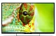 Телевизор LED PolarLine 43" 43PL51STC-SM черный FULL HD 50Hz DVB-T DVB-T2 DVB-C DVB-S2 WiFi Smart TV (RUS)