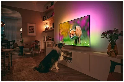 Телевизор LED Philips 50" 50PUS8519/60 Series 8 серый антрацит 4K Ultra HD 60Hz DVB-T DVB-T2 DVB-C DVB-S DVB-S2 USB WiFi Smart TV (RUS)