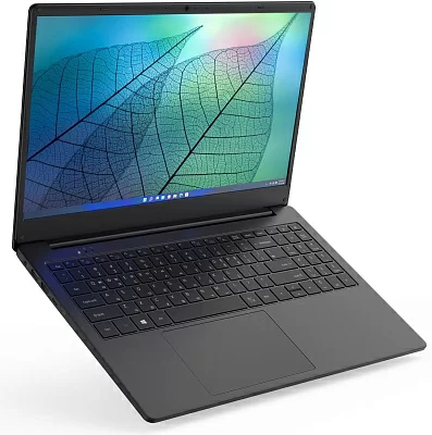 Ноутбук Hiper Workbook N15RP Ryzen 5 3500U 16Gb SSD512Gb AMD Radeon Vega 8 15.6" IPS FHD (1920x1080) Windows 10 Professional black WiFi BT Cam 6000mAh (N15RP96WI)