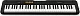 Синтезатор Casio CT-S100 61клав. черный