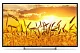 Телевизор LED PolarLine 40" 40PL11TC-SM черный FULL HD 50Hz DVB-T DVB-T2 DVB-C USB WiFi Smart TV (RUS)